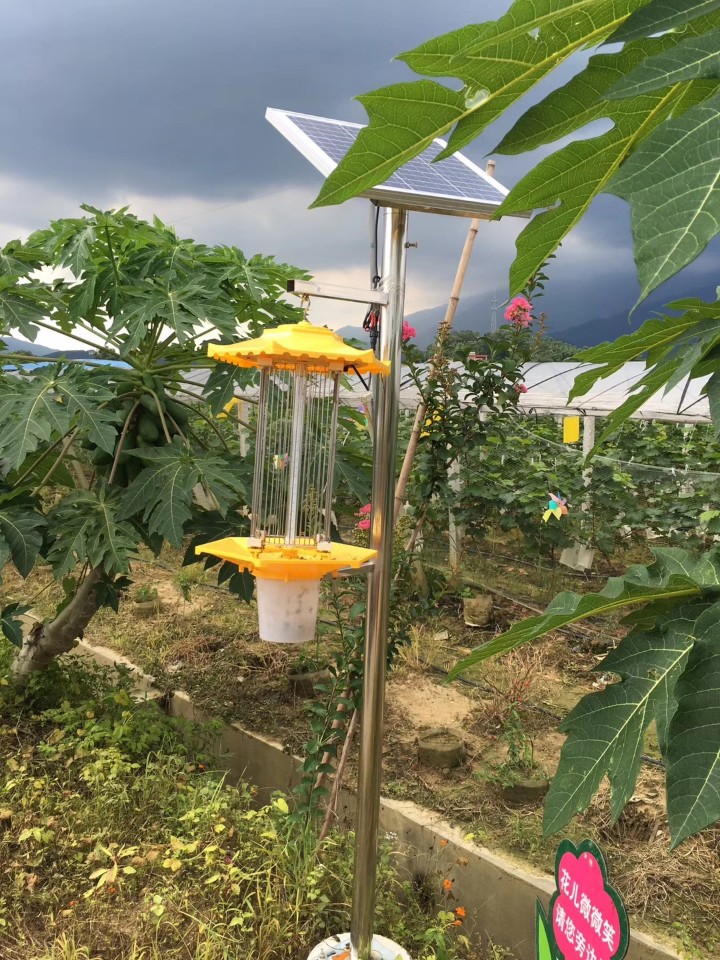 果園頻振式滅蚊燈