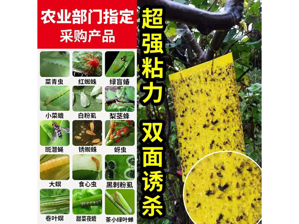 粘蟲(chóng)板